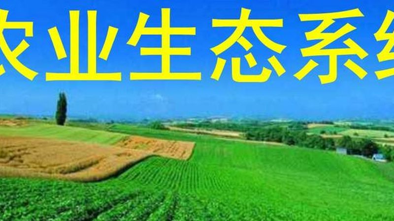 有机种植技术加盟代理：揭秘绿色农业的盈利之道**