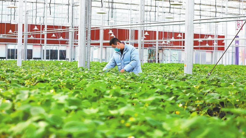 山东农产品出口报关，流程详解助力跨境贸易