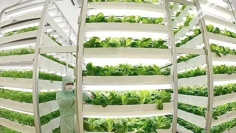 休闲农业开发：从规划到运营的全方位指南
