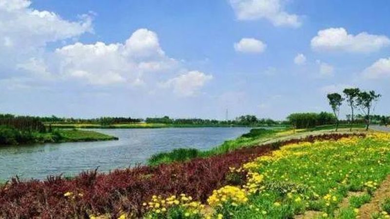 养殖类农民专业合作社：经营范围与未来趋势