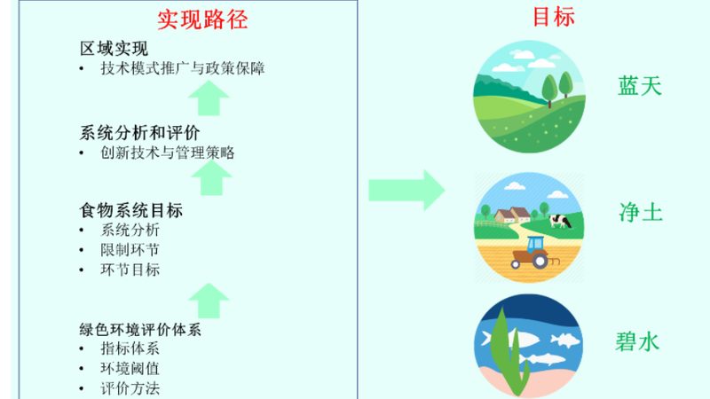 生鲜配送承包合同代理：如何把握行业关键点