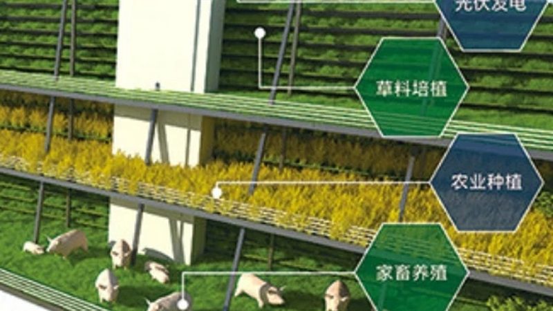 家庭果蔬配送服务推荐