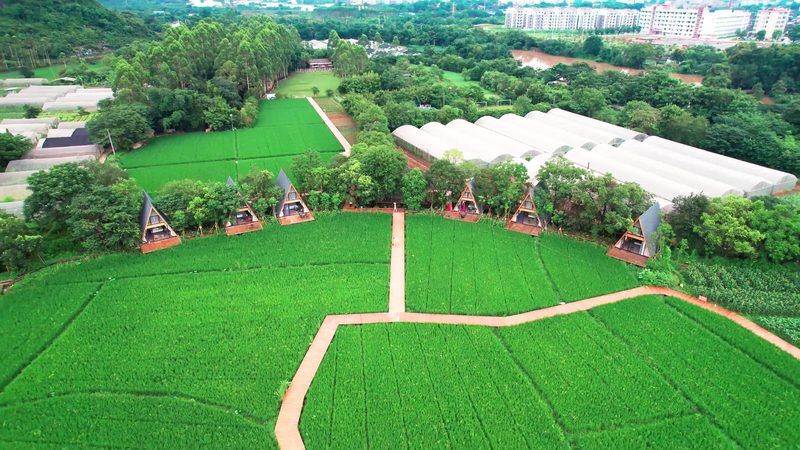 选址关键：种植合作社如何找到最佳“家园”**