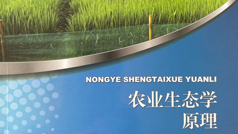 广州有机蔬菜批发市场采购技巧
