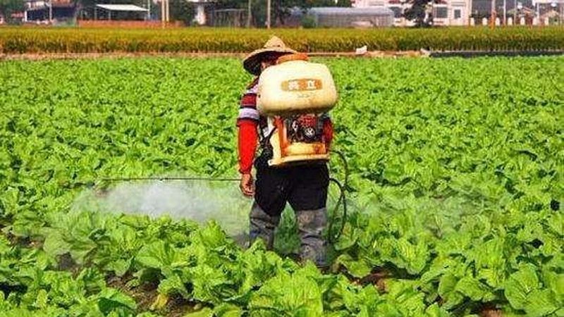 加盟条件解析：关注四大要素