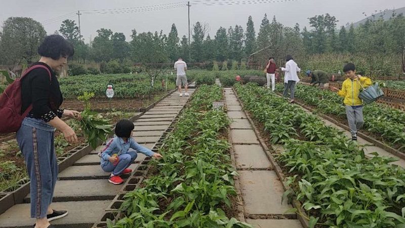果蔬配送人员的岗位职责解析