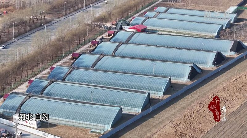 湖北农业集团股份有限公司